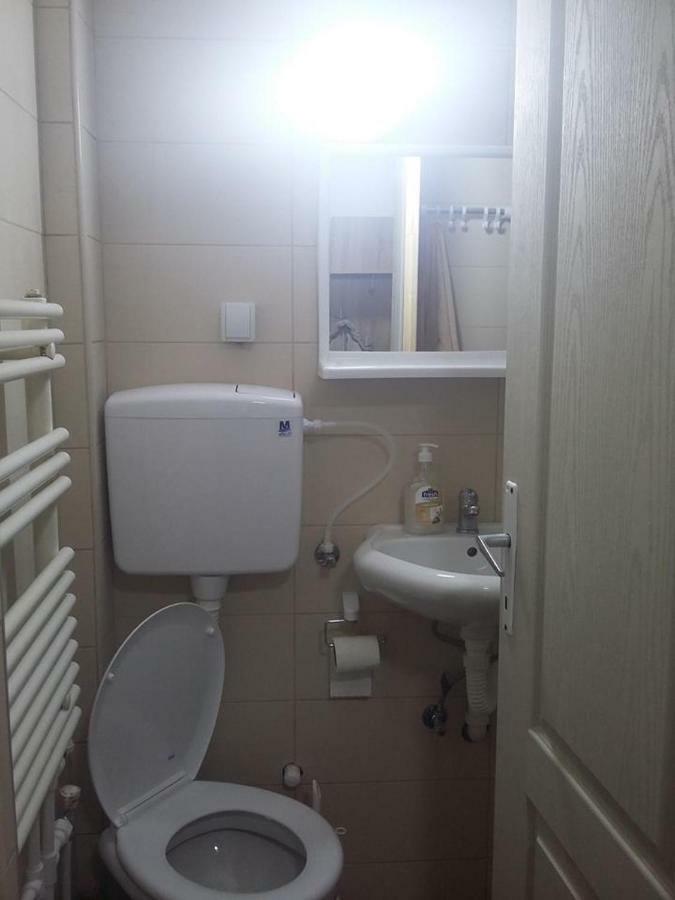 Domacinstvo Kod Gere Panzió Crni Vrh Kültér fotó